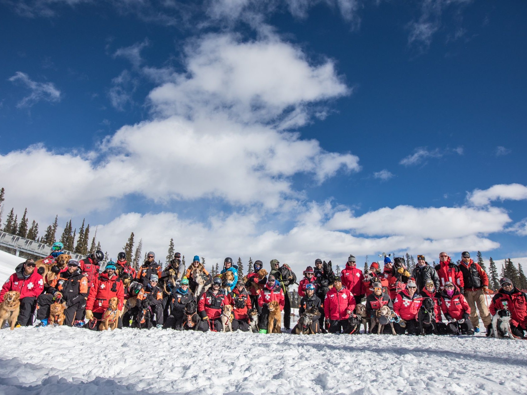Group photo of all C-RAD dogs and handlers at winter training course