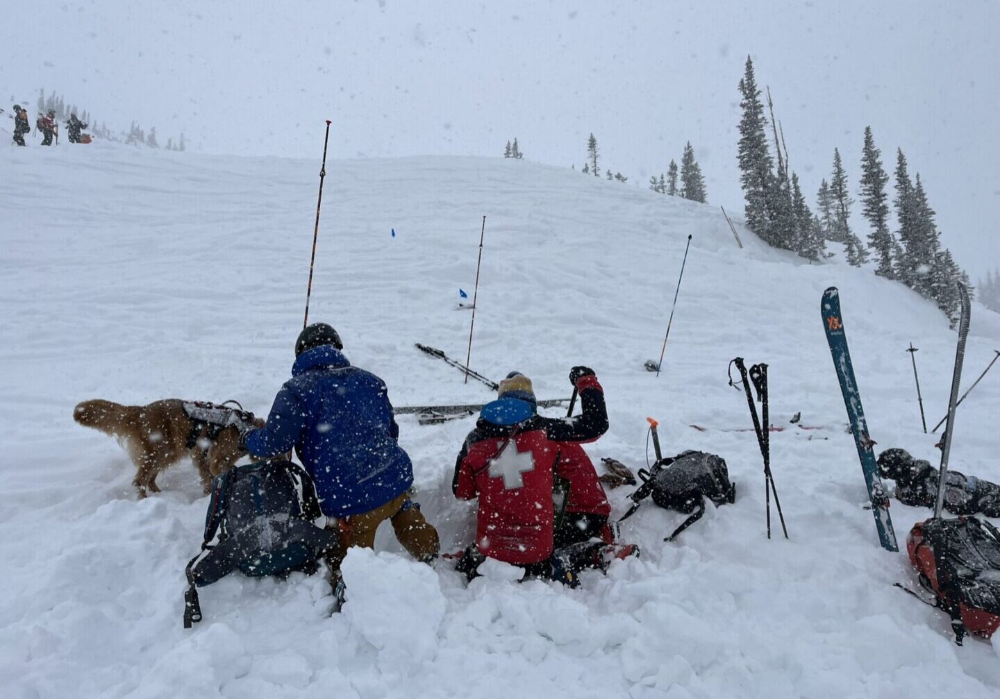 Avalanche rescue team with dog